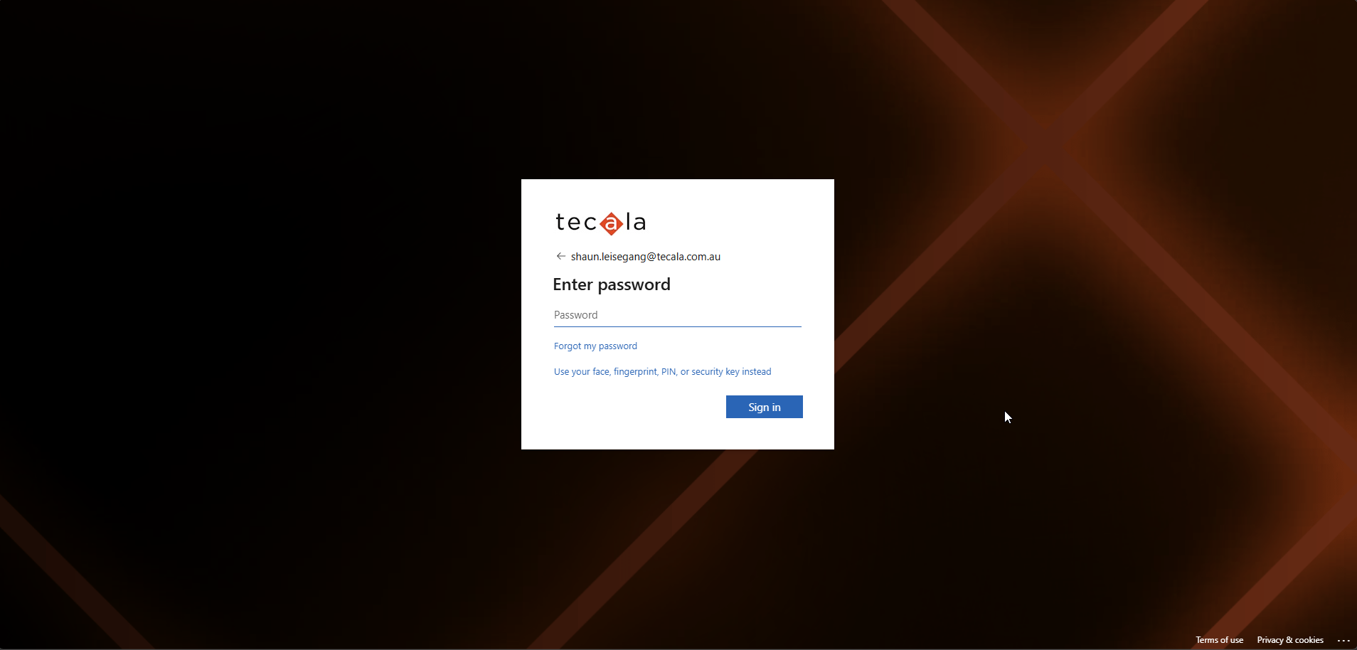 Microsoft password entry screen